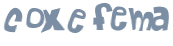 CAPTCHA 挑戰