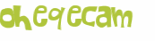 CAPTCHA 挑戰