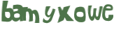 CAPTCHA 挑戰