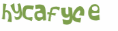 CAPTCHA 挑戰