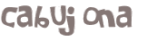 Wyzwanie captcha