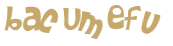 Desafio Captcha