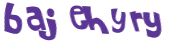 Wyzwanie captcha