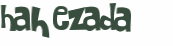 CAPTCHA 挑戰
