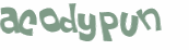 Captcha 챌린지