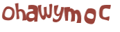 Captcha 챌린지