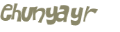 Captcha 챌린지