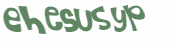 Captcha 챌린지