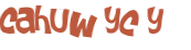 CAPTCHA 挑戰
