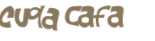 Captchafråga
