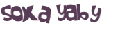CAPTCHA 挑戰