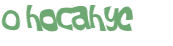 CAPTCHA-haaste