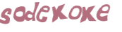 Captcha 챌린지