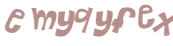 Captcha 챌린지