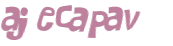 Captcha挑战
