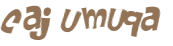 Desafio Captcha