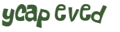 Wyzwanie captcha