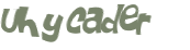 Desafio captcha