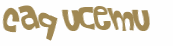 CAPTCHA 挑戰