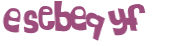 Captcha 챌린지
