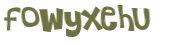 Wyzwanie captcha