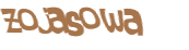 Wyzwanie captcha