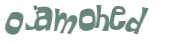 CAPTCHA 挑戰