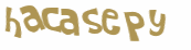 Captcha 챌린지