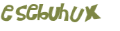 CAPTCHA-haaste