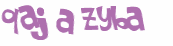 Wyzwanie captcha