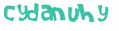 CAPTCHA 挑戰