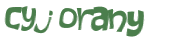 CAPTCHA 挑戰