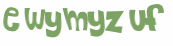 CAPTCHA 挑戰
