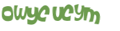 Captcha 챌린지
