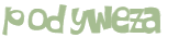 Wyzwanie captcha