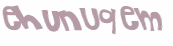 Captcha 챌린지
