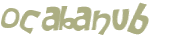 Wyzwanie captcha