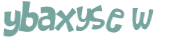 CAPTCHA 挑戰