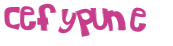 CAPTCHA 挑戰