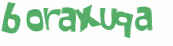 CAPTCHA 挑戰
