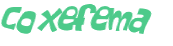 Captcha 챌린지