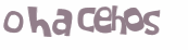 Captcha 챌린지