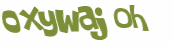 Captcha 챌린지