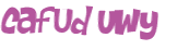 Wyzwanie captcha