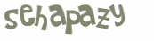 CAPTCHA 挑戰