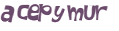 CAPTCHA 挑戰