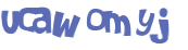 Captcha挑战