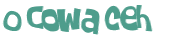 CAPTCHA 挑戰