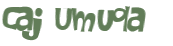 CAPTCHA-haaste