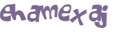 CAPTCHA 挑戰